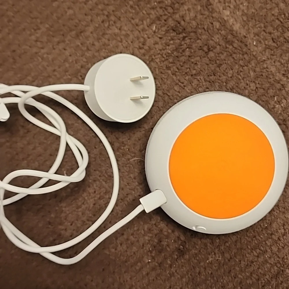 Google home